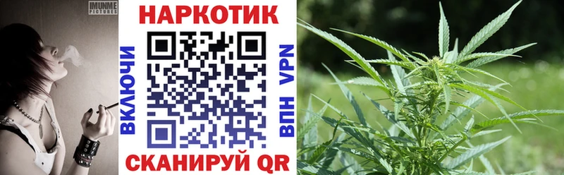 Виды наркотиков купить Балашов ГАШИШ mega маркетплейс Меф мяу мяу Марихуана