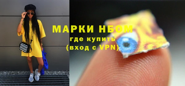 прущие грибы Алзамай