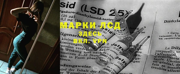 прущие грибы Алзамай