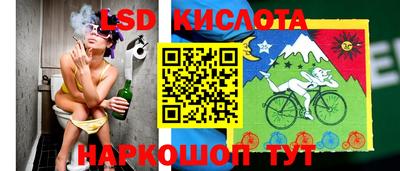 эйфоретик Славгород