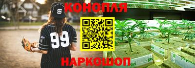 синтетический гашиш Сланцы