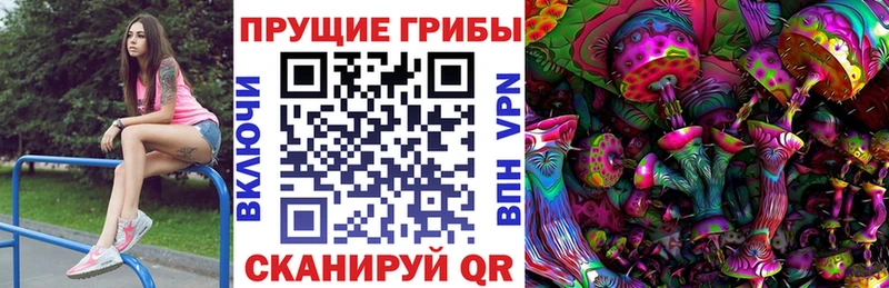 Псилоцибиновые грибы Psilocybine cubensis  где можно купить наркотик  Балашов 