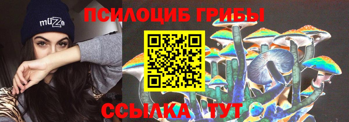 Псилоцибиновые грибы прущие грибы  Вход с VPN  Балашов 