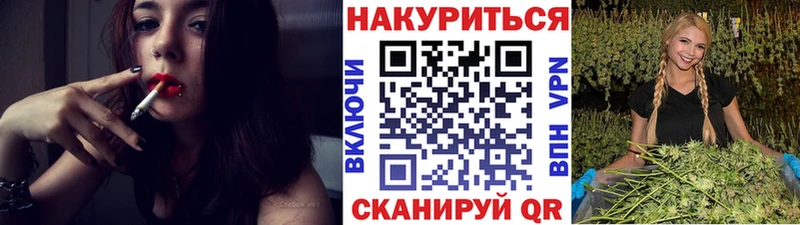 купить   Балашов  Каннабис сатива 
